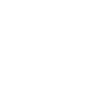 Logo Fight Night